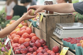 apple-business-fruit-local-95425